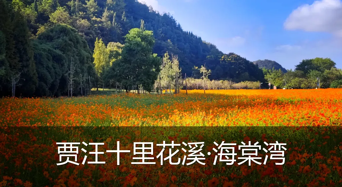贾汪十里花溪·海棠湾
