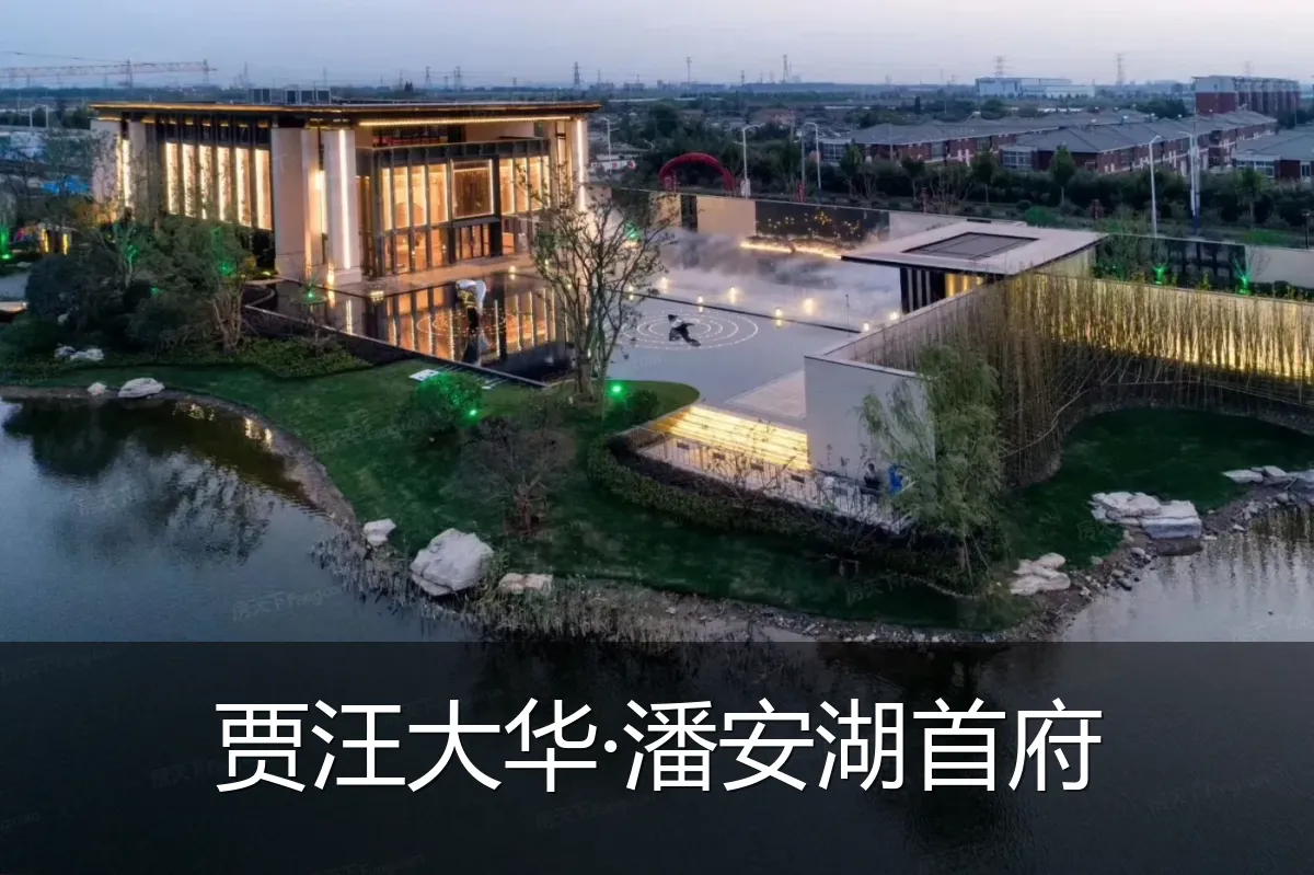 贾汪大华·潘安湖首府